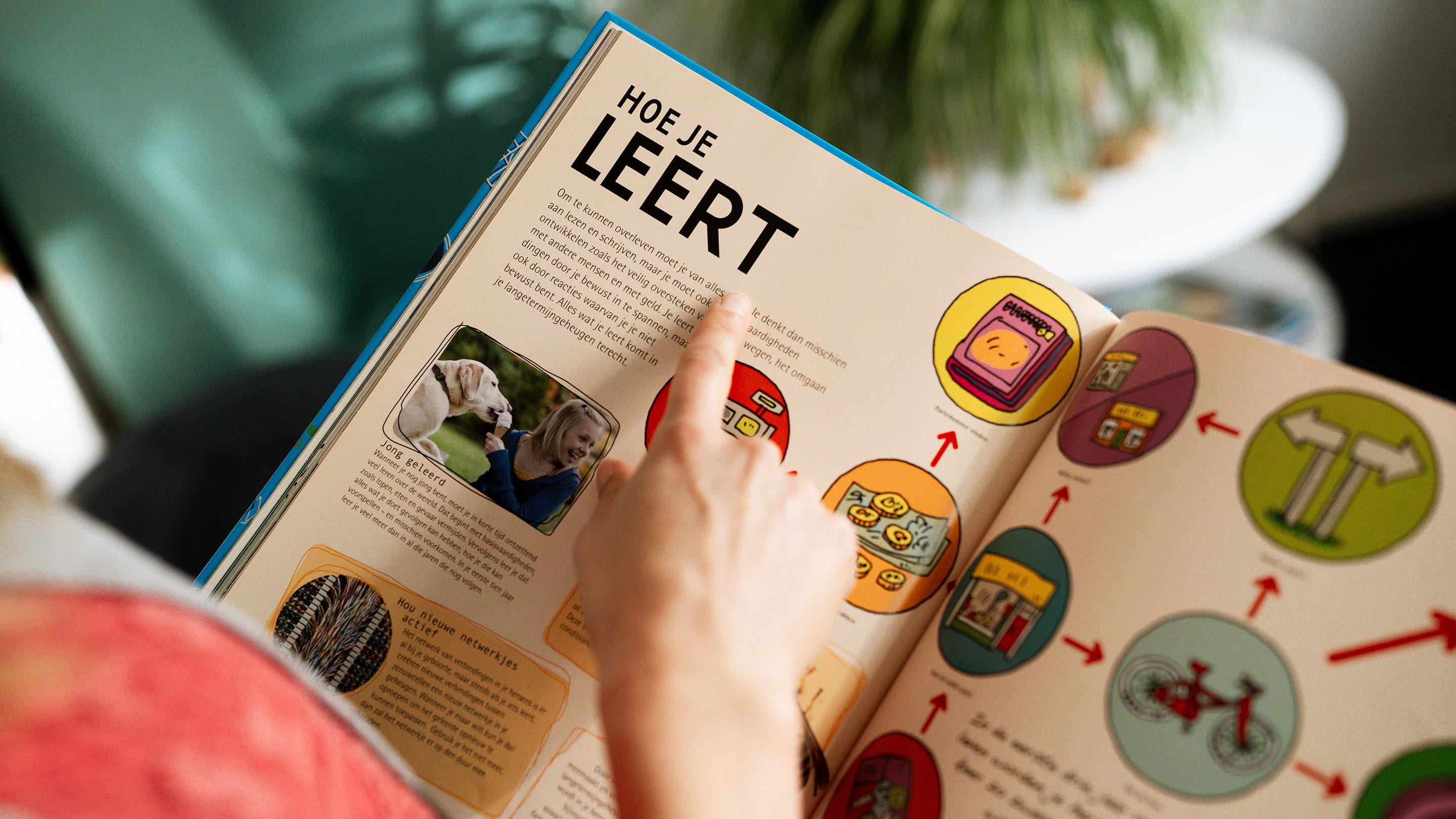 BeterBrein Onderwijsbegeleiding - Hoe je leert