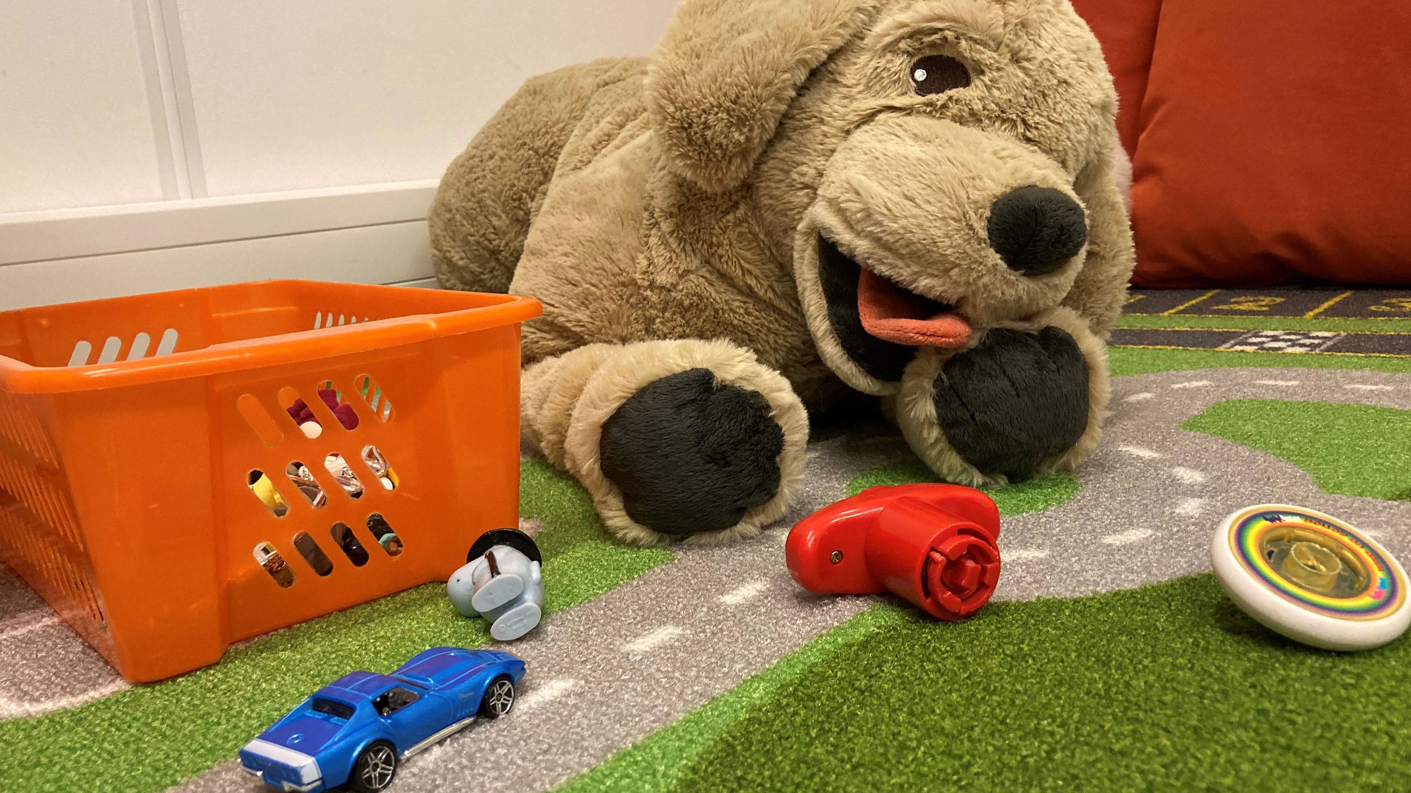 Gedrag en ontwikkeling BeterBrein